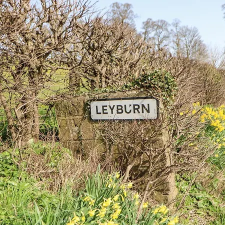 Daisy Leyburn
